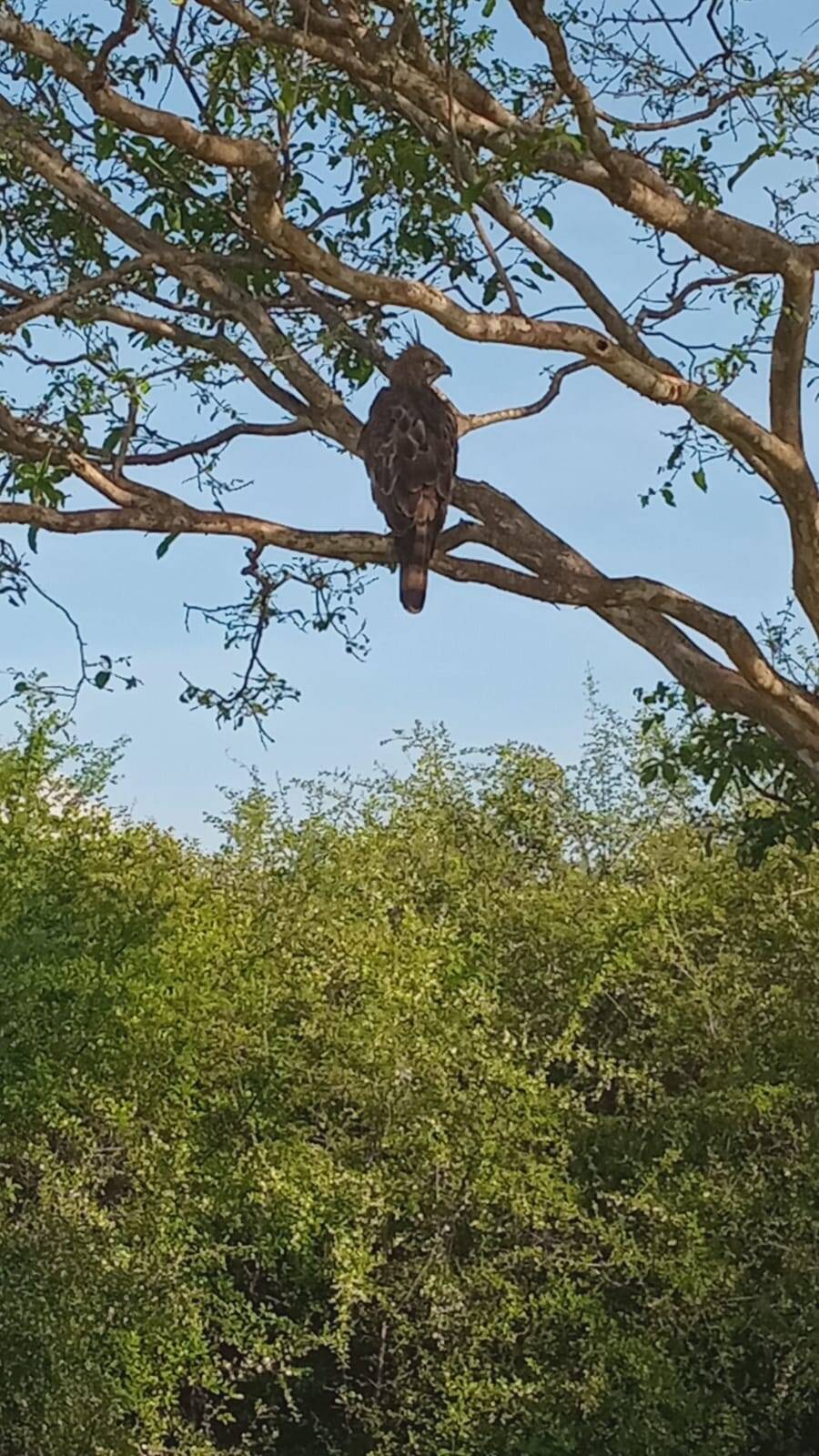 Sri Lanka Tour Memory 19